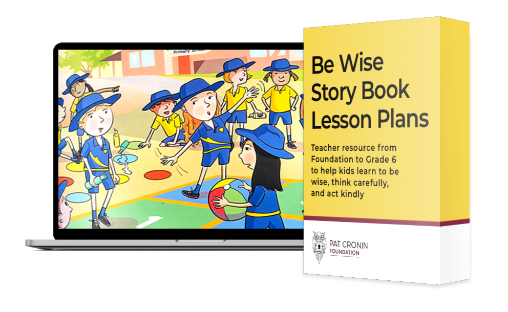 Be Wise Story Book Lesson Plan bundle - 20% off